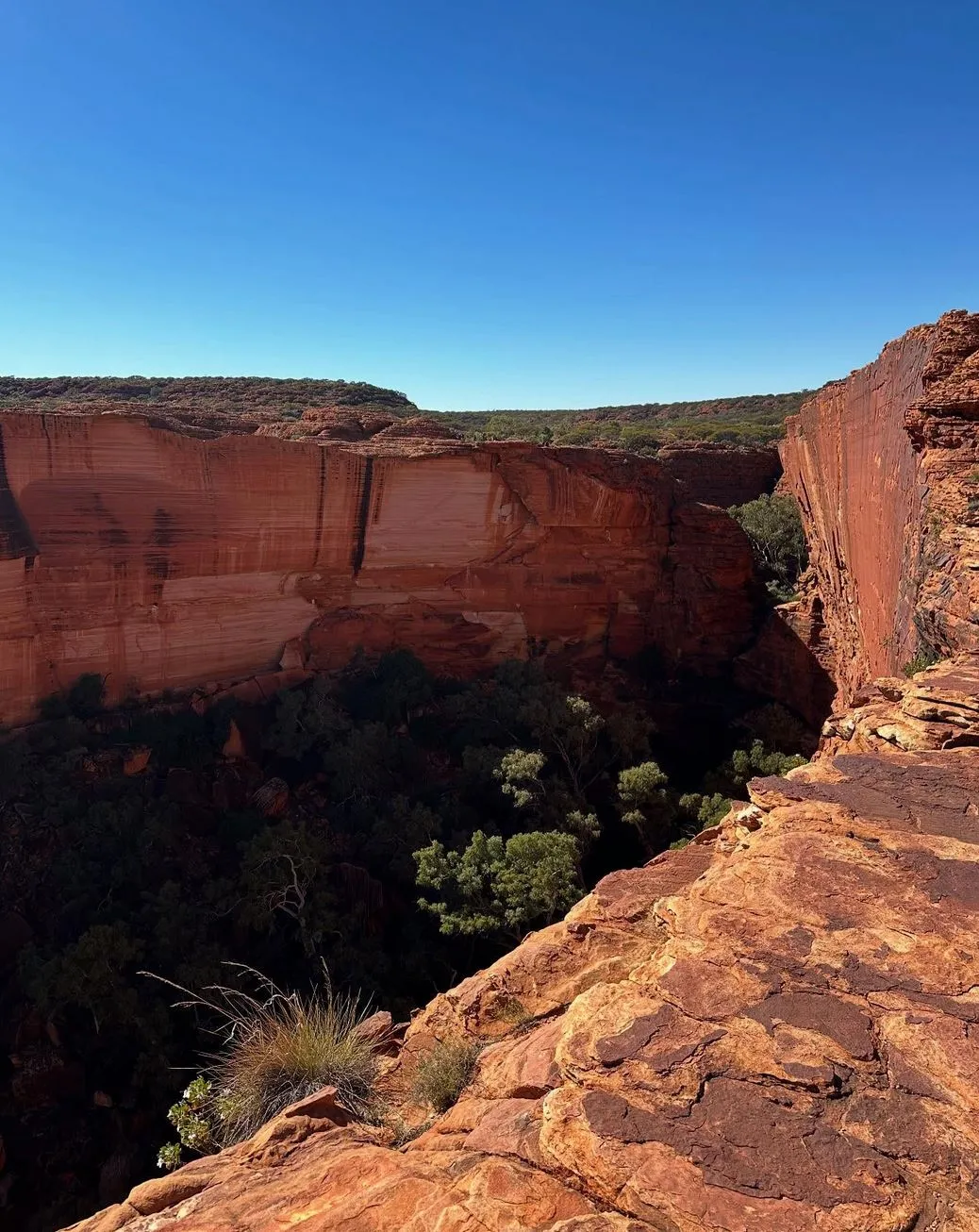 Viking Vear | Can you visit Kings Canyon during the wet season? Best Time to Visit Kings Canyon