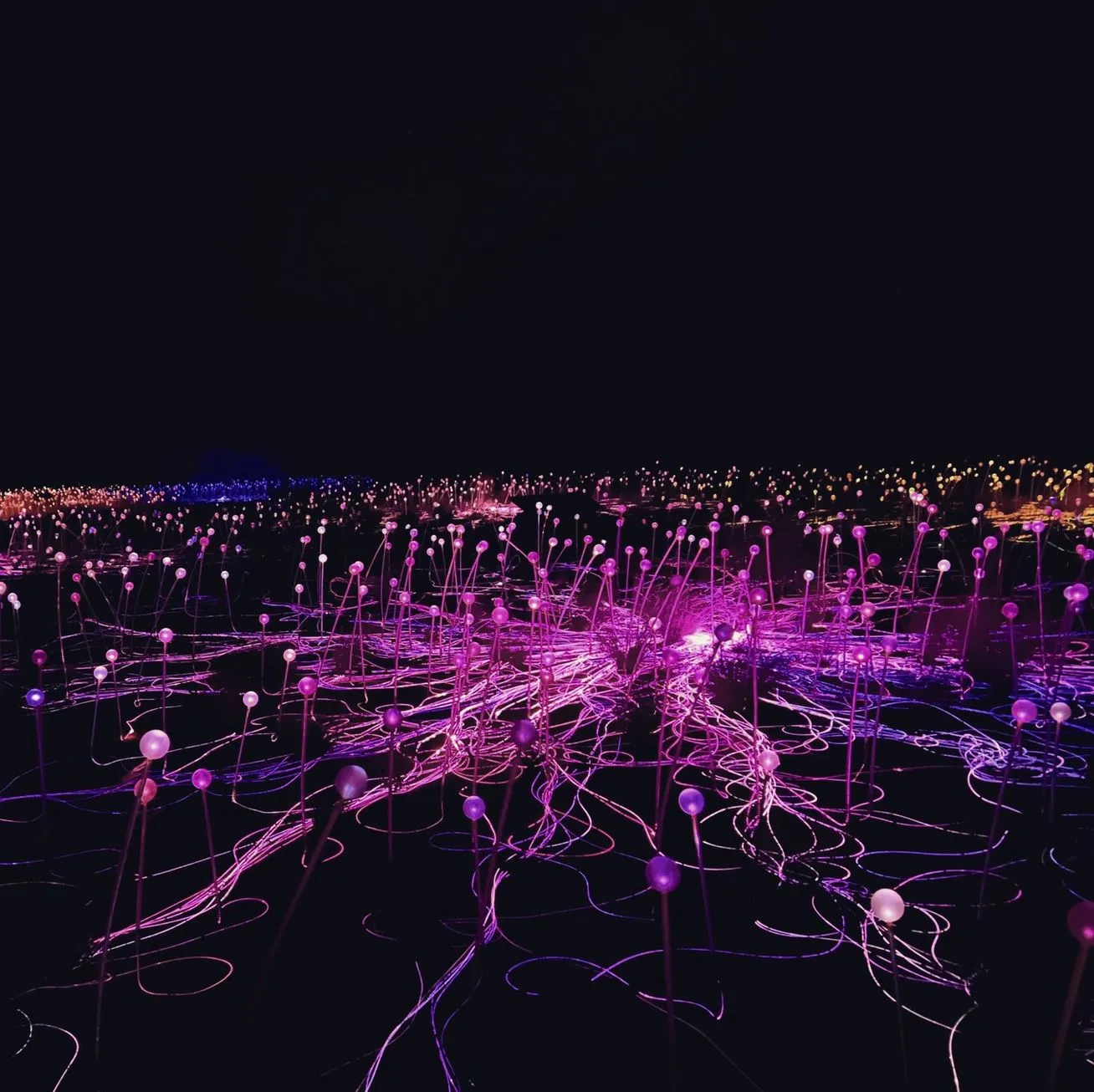 Viking Vear | Can you visit Uluru at night? Field of Light Installation Uluru