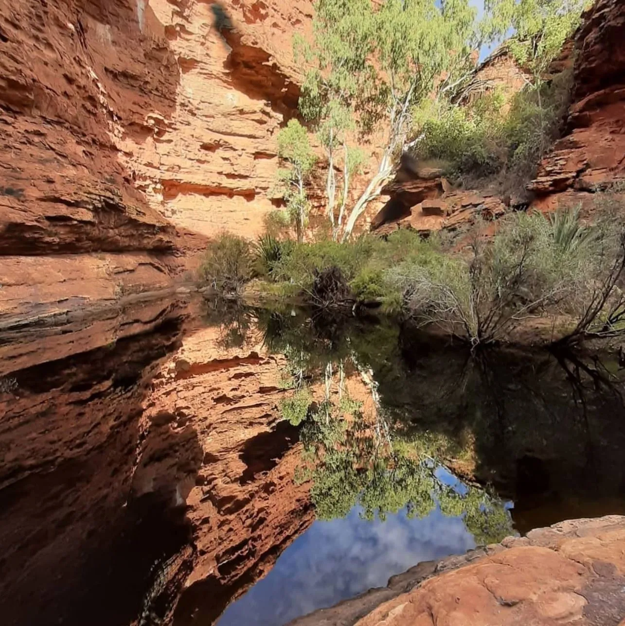 Viking Vear | Can you visit Kings Canyon during the wet season? Kings Creek Station
