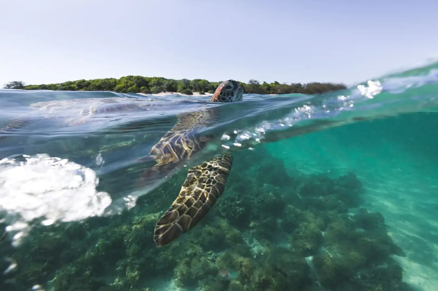 North Stradbroke Island Day Tour
