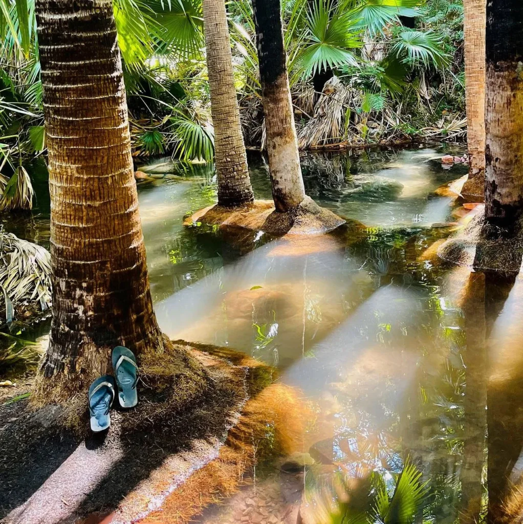 Zebedee Springs, Western Australia